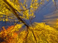 2013.10.19_113129_Herbst Park in Füssen_1.jpg